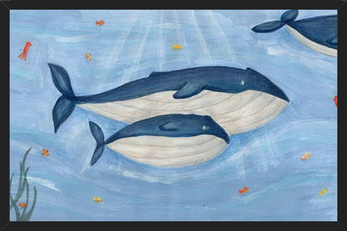Cuadro Ballena