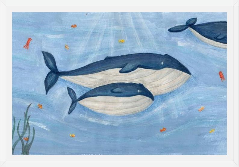 Cuadro Ballena