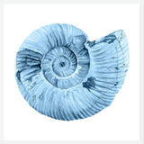 Cuadro Concha azul 3