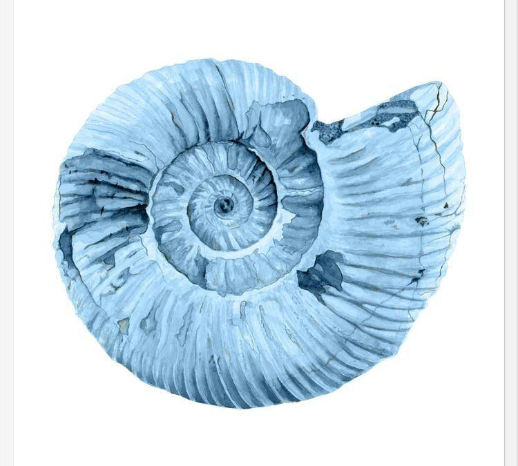 Cuadro Concha azul 3