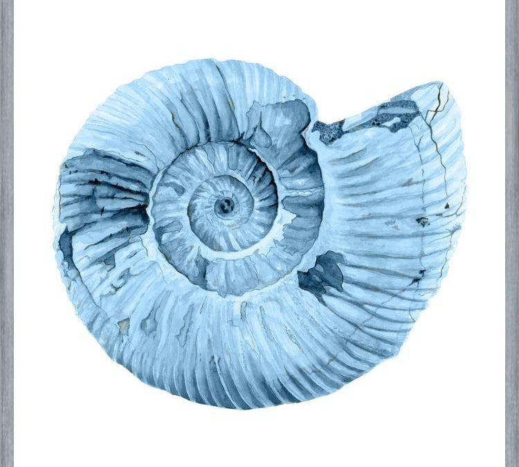 Cuadro Concha azul 3
