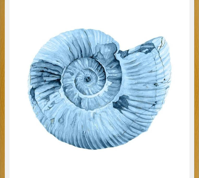 Cuadro Concha azul 3