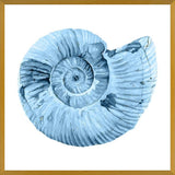 Cuadro Concha azul 3
