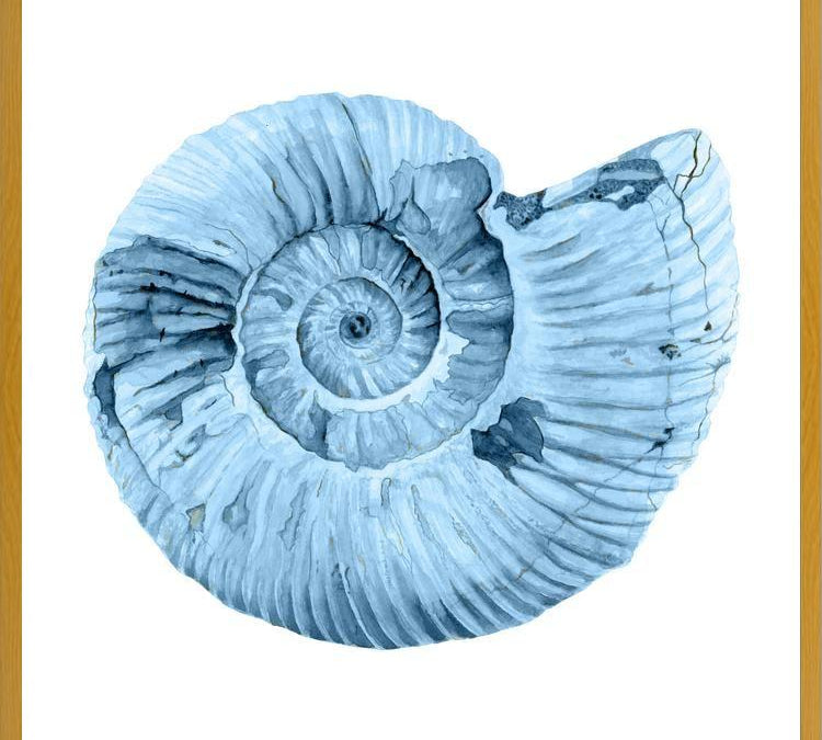 Cuadro Concha azul 3