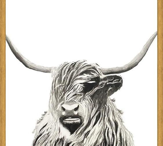 Cuadro Highland cow watercolor
