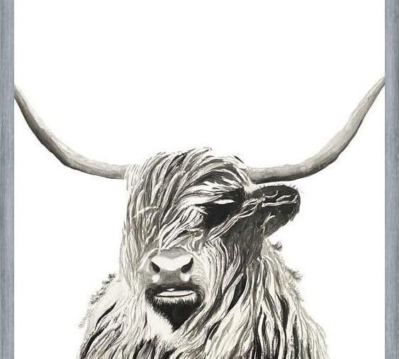 Cuadro Highland cow watercolor