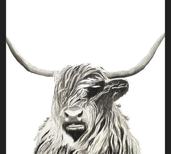 Cuadro Highland cow watercolor