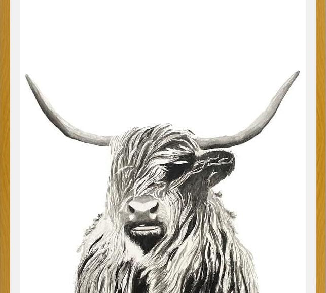 Cuadro Highland cow watercolor