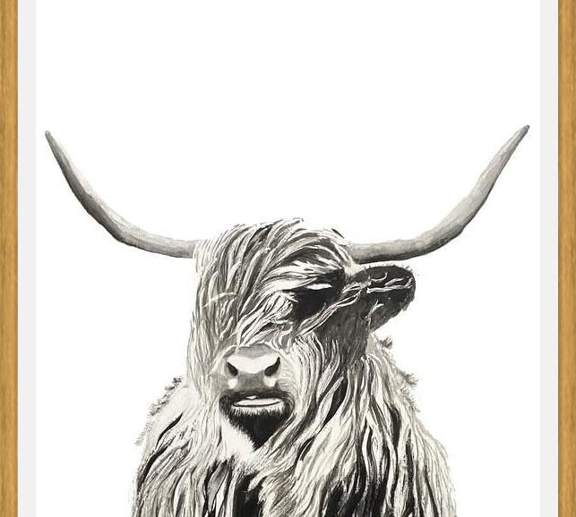 Cuadro Highland cow watercolor