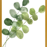 Cuadro Eucaliptus