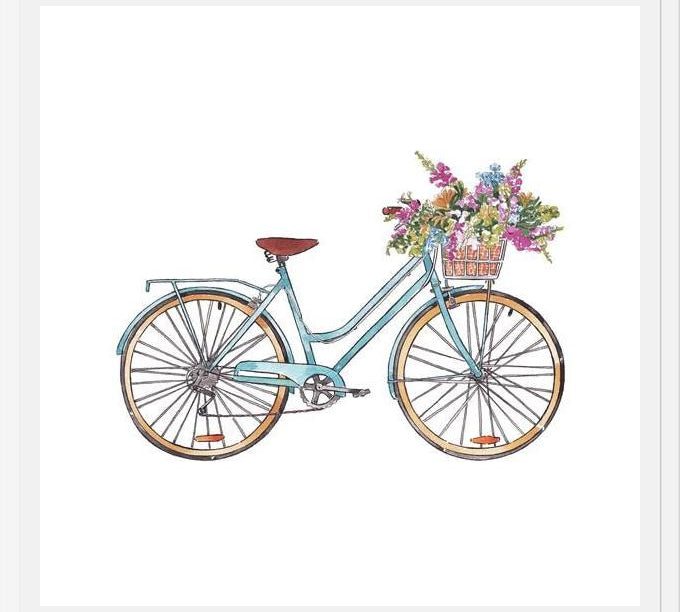 Cuadro Bicicleta con flores