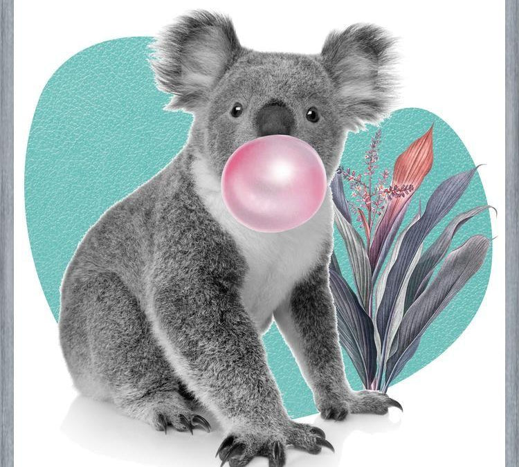 Cuadro Koala comiendo chicle