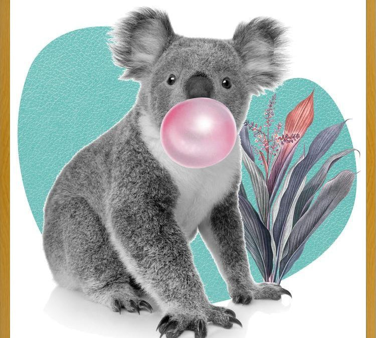 Cuadro Koala comiendo chicle