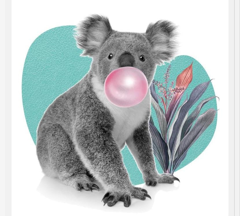 Cuadro Koala comiendo chicle