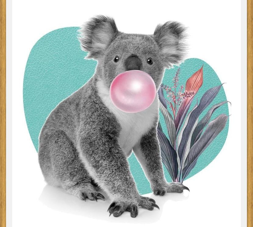 Cuadro Koala comiendo chicle