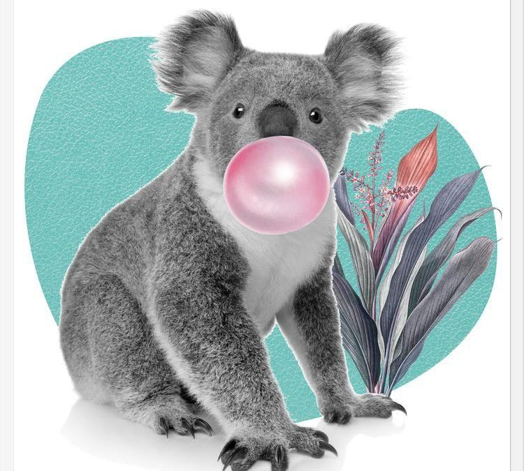 Cuadro Koala comiendo chicle