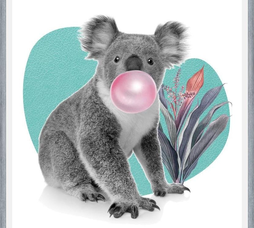 Cuadro Koala comiendo chicle