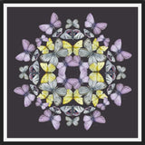 Cuadro Mariposas chilenas