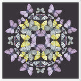 Cuadro Mariposas chilenas