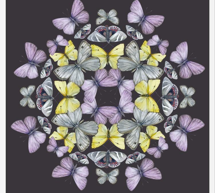 Cuadro Mariposas chilenas