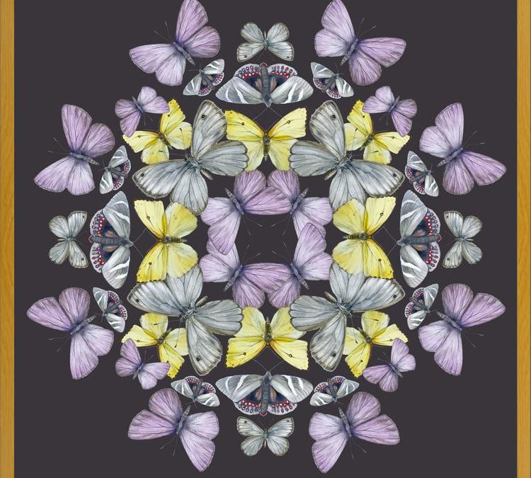 Cuadro Mariposas chilenas