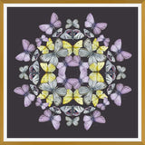 Cuadro Mariposas chilenas