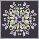 Cuadro Mariposas chilenas