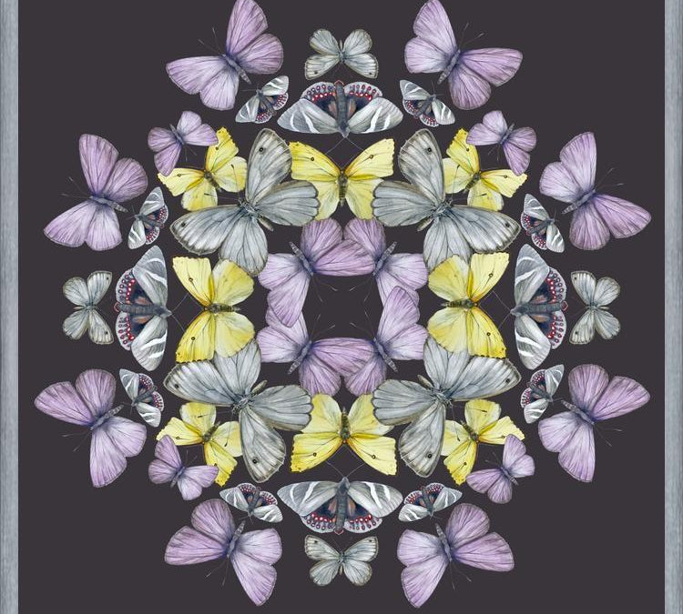 Cuadro Mariposas chilenas