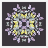 Cuadro Mariposas chilenas