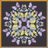 Cuadro Mariposas chilenas