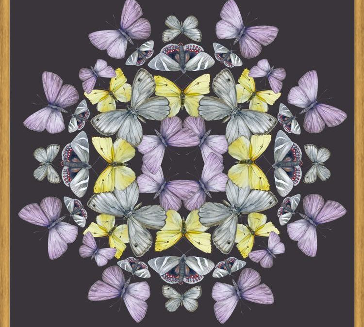 Cuadro Mariposas chilenas