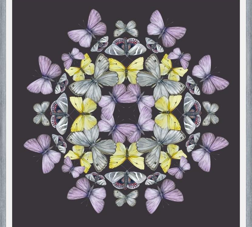 Cuadro Mariposas chilenas