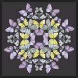 Cuadro Mariposas chilenas