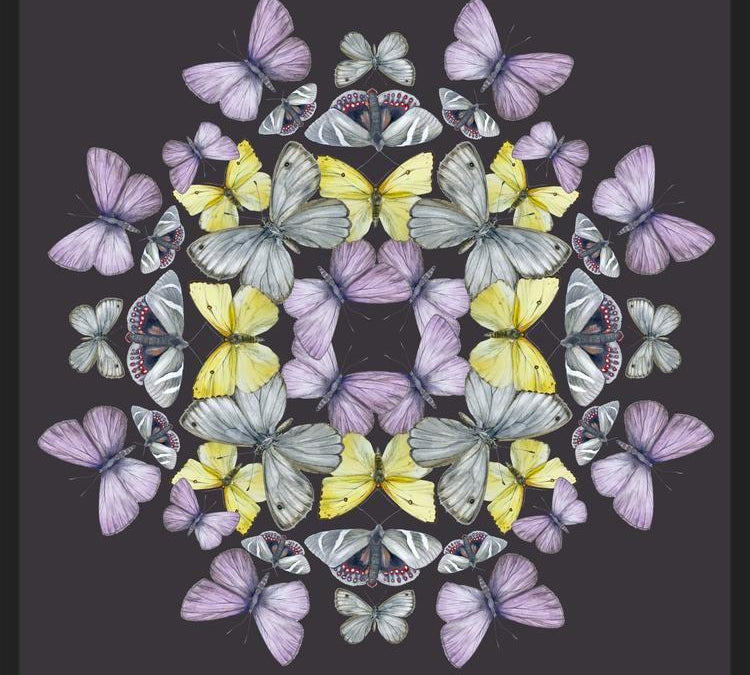 Cuadro Mariposas chilenas
