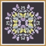 Cuadro Mariposas chilenas