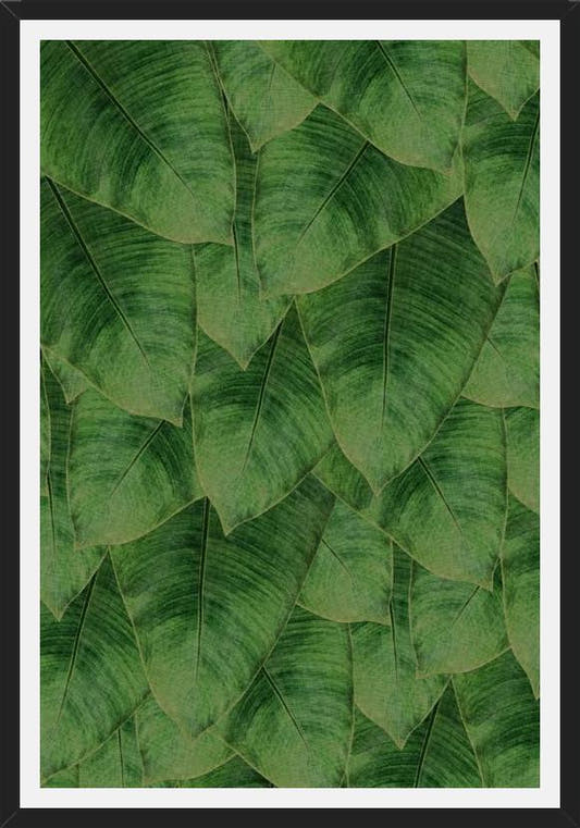 Cuadro Banana Leaf III
