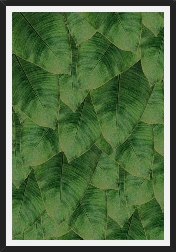 Cuadro Banana Leaf III