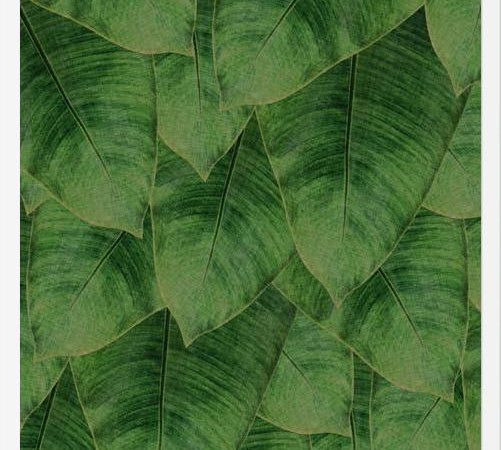 Cuadro Banana Leaf III