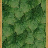 Cuadro Banana Leaf III