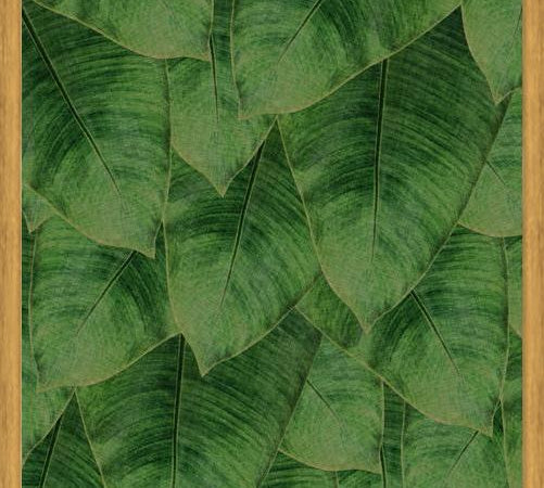 Cuadro Banana Leaf III