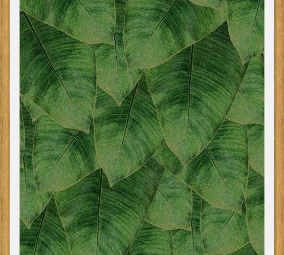 Cuadro Banana Leaf III
