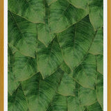 Cuadro Banana Leaf III