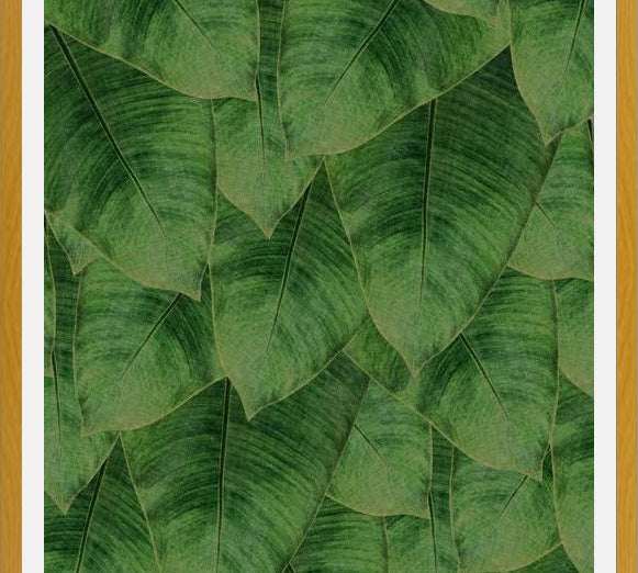 Cuadro Banana Leaf III