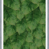 Cuadro Banana Leaf III