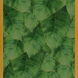 Cuadro Banana Leaf III