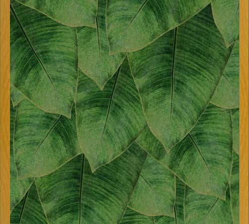 Cuadro Banana Leaf III