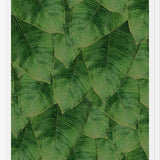 Cuadro Banana Leaf III