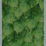 Cuadro Banana Leaf III