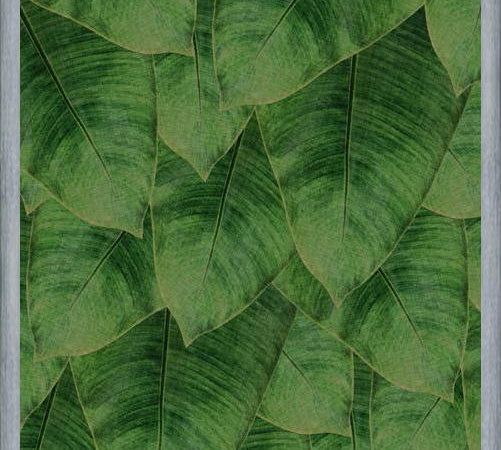 Cuadro Banana Leaf III