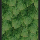 Cuadro Banana Leaf III
